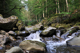 Wanderurlaub im Bayerischen Wald